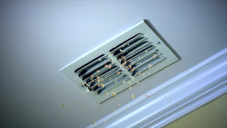 Best Home Air Vent Cleaning  in Corinth, TX
